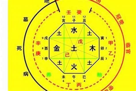 八字 星|八字算命器